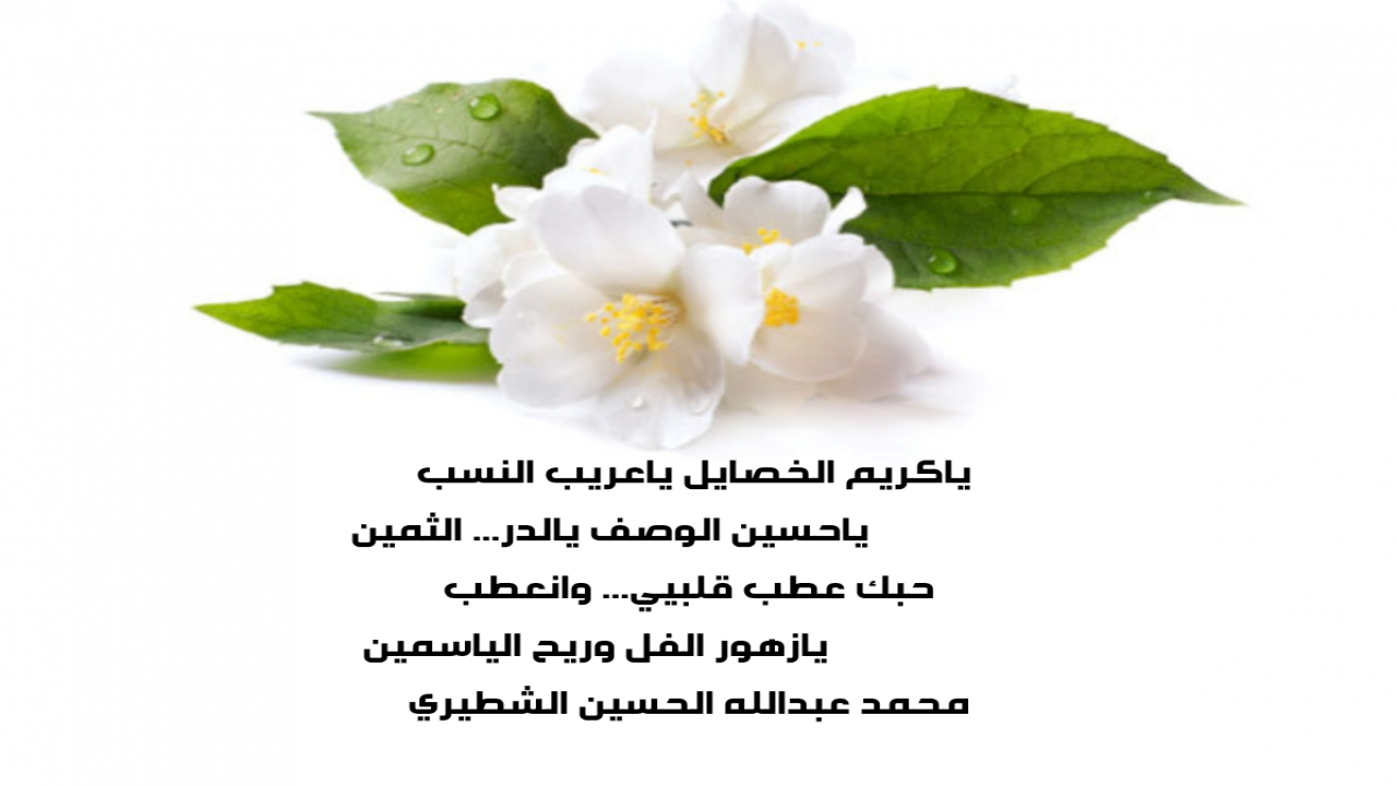 ياكريم الخصايل ياعريب النسب يازهور الفل وريح الياسمين