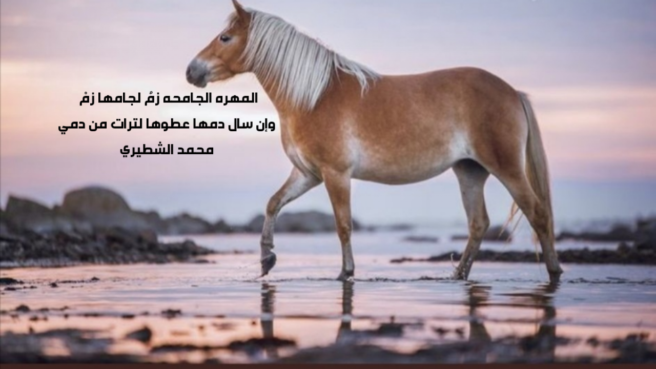 المهره الجامعه زم لجامها زموان سال دمها عطوها لترات من دمي