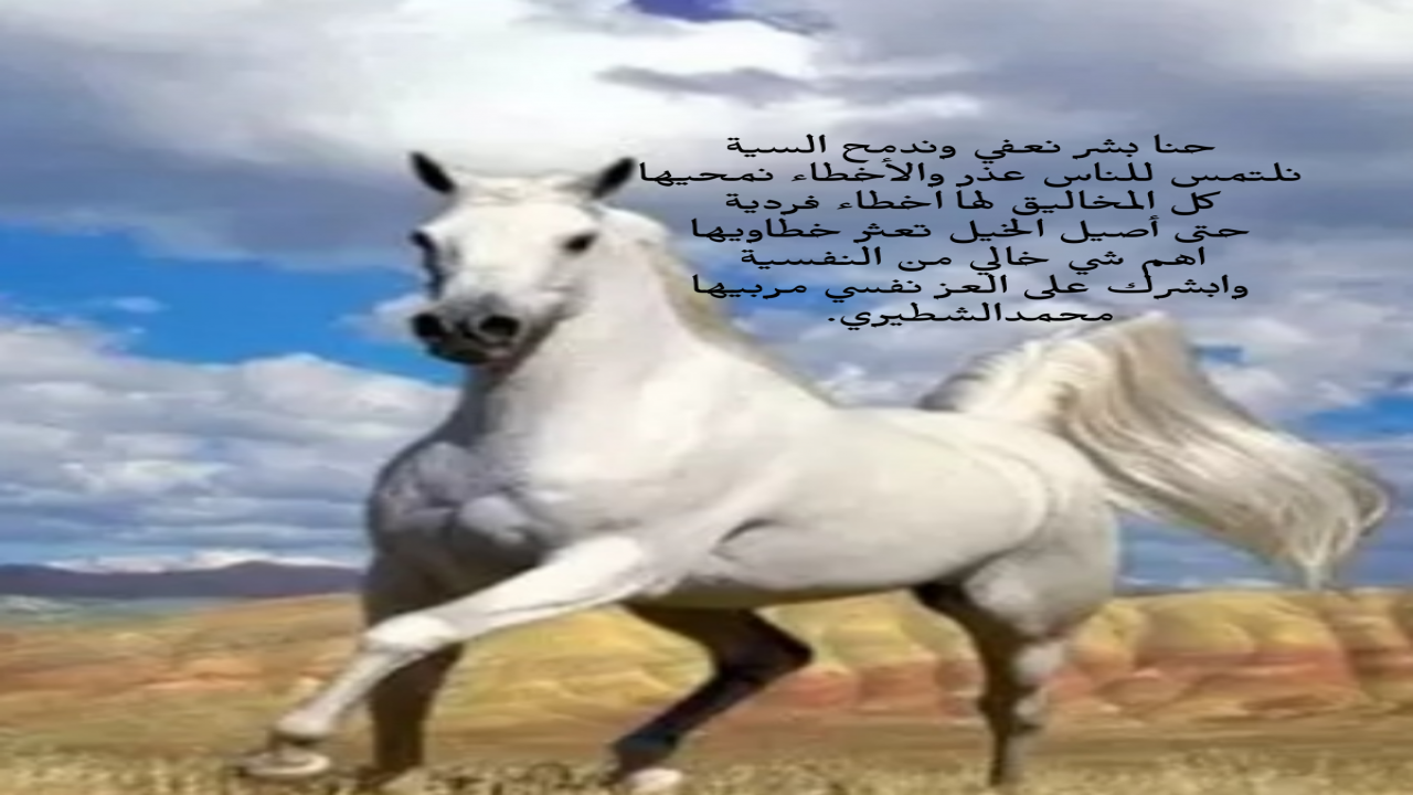حنا بشر نعفي وندمح السيةنلتمس للناس عذر والأخطاء نمحيهاكل المخاليق لها اخطاء فرديةحتى أصيل الخيل تعثر خطاويهااهم شي خالي من النفسيةوابشرك على العز نفسي مربيهامحمدالشطيري.