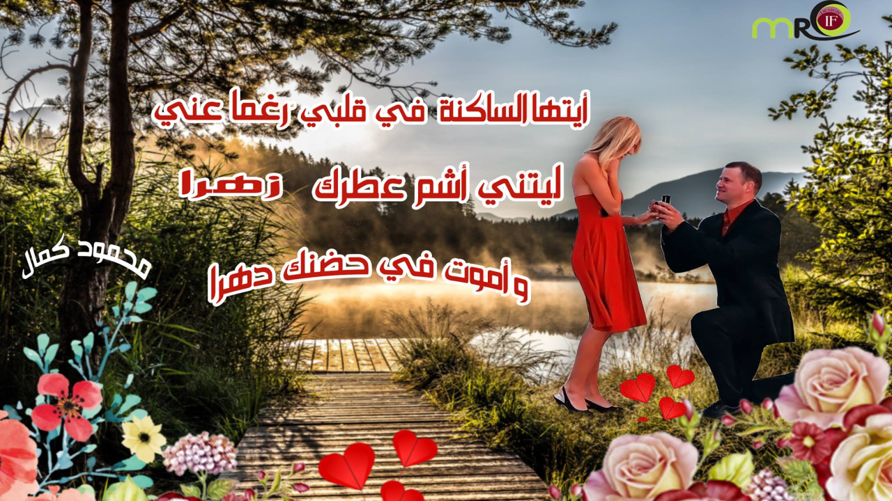 انتِ حبي و ملاكي