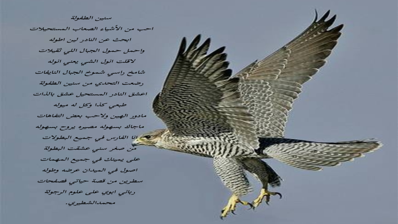 احب من الأشياء الصعاب المستحيلات ابحث عن النادر لين اطوله واحمل حمول الجبال اللي ثقيلات لاقلت انول الشي يعني انوله محمدالشطيري.