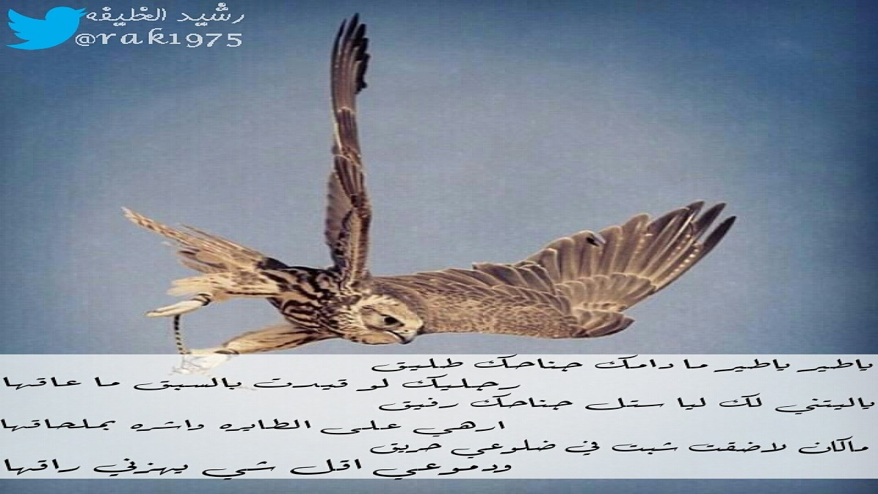 ياطير ياطير مادامك جناحك طليق