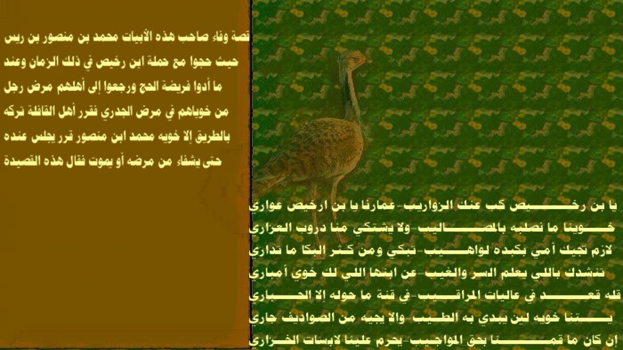 قصة وقصيدة