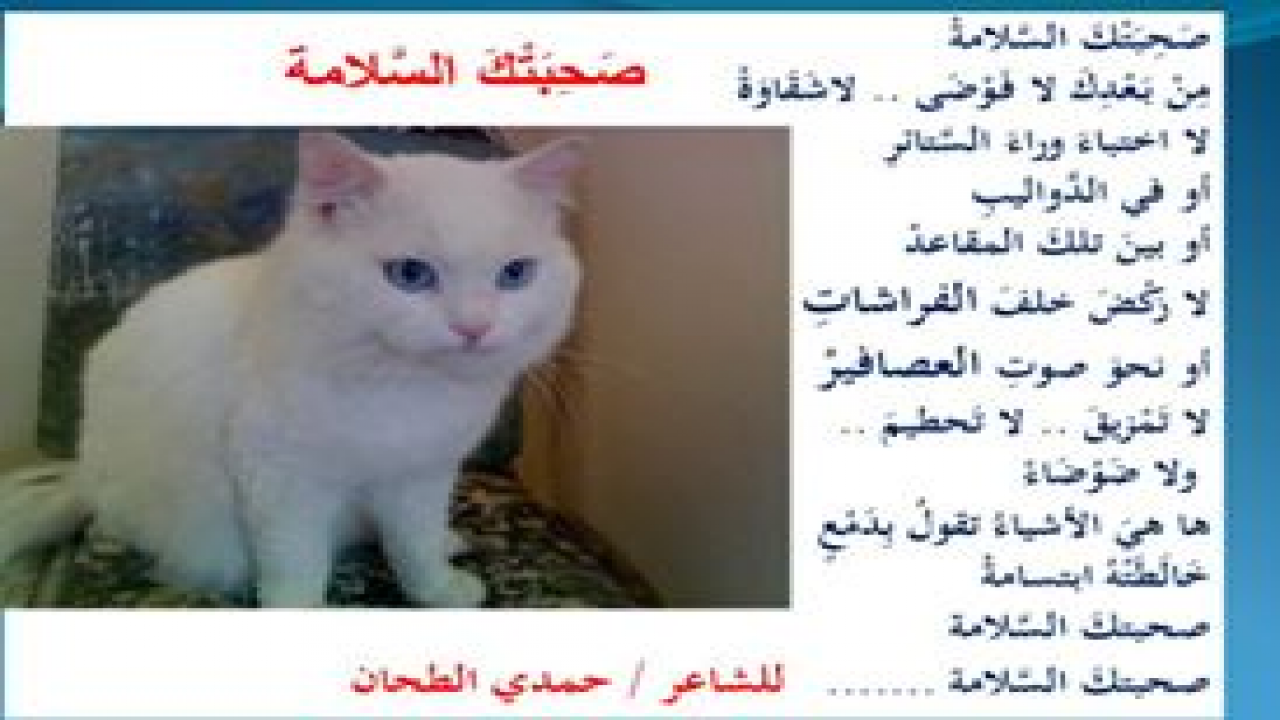 رثاء