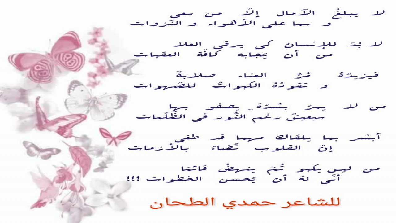 حكمة