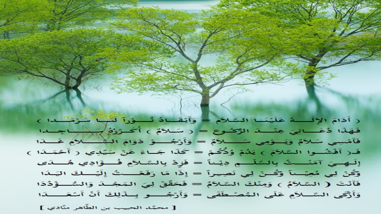 أدام الإله علينا السَّلام ، وأبقاهُ نوراً لنا سرمدا ...