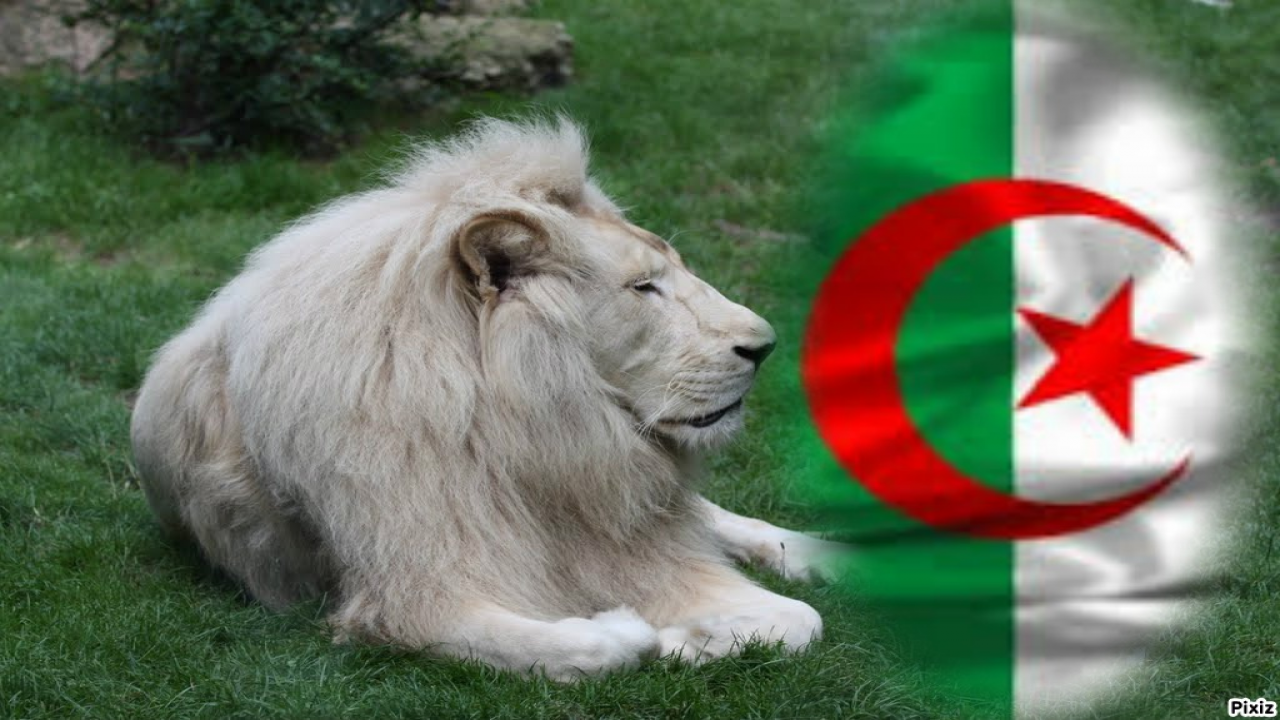 عمق الوفاء