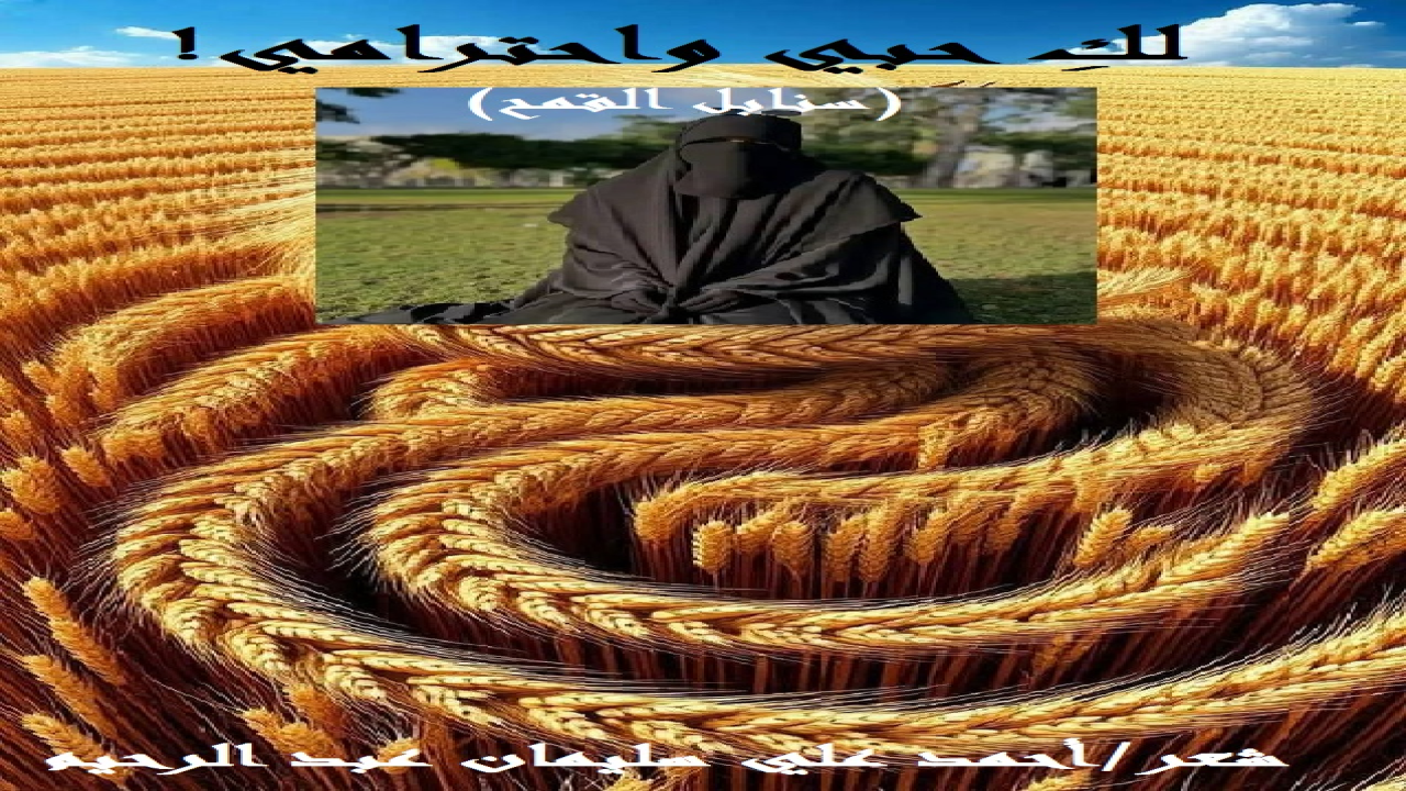 (تزوج ذلك الطيّبُ الموفق من ابنة عمه ابنة البادية ، ظناً منه أنه يجمع بهذه الزيجة بين مزايا ثلاثٍ ما جُمعتْ لأحدٍ قبله ، ولن تُجمع لأحدٍ بعده إلا أن يشاء الله تعالى: الأولى حبه لها ، والثانية كونها ابنة عمه فهو أولى بها وهي أولى به ، والثالثة أنها ابنة بادية ، وهو بدوي يرعى غنمه ويزرع أرضه! فلن تكون هذه البيئة مُغايرة لحياتها! ولكن للأسف الشديد خاب ظنه خيبة لا حدود لها! لماذا؟ والجواب لأن عروسه البدوية ابنة عمه التي أحبها تمردتْ على نفسها وعليه وعلى البادية وعلى القرابة وعلى الحب! وحولتْ بتمردها هذا حياته إلى جحيم! فتوسّم خيراً في عم له يسكن الحاضرة أن يزوّجه ابنته الحضرية! فعرض الأبُ على ابنته التي وافقتْ لعشقها حياة البادية ، وإن لم تعشق العريس المتقدمَ لها! عشقتْ عيشة البادية من خلال كتب الأدب والشعر عنها نظرياً ، كما أحبتها من خلال الزيارات الخاطفة التي كانت تزور فيها أهلها في البادية في الأعياد والمواسم والمناسبات! وتم العرس ، وتحولتْ حياة البدوي الطيب الموفق بطل قصيدتنا إلى نعيم مقيم! وبينما كانت العروس التي لم يمض على عرسها شهر واحد تتجول في حقول القمح ، وإذا بها تمسك بعض سنابر
