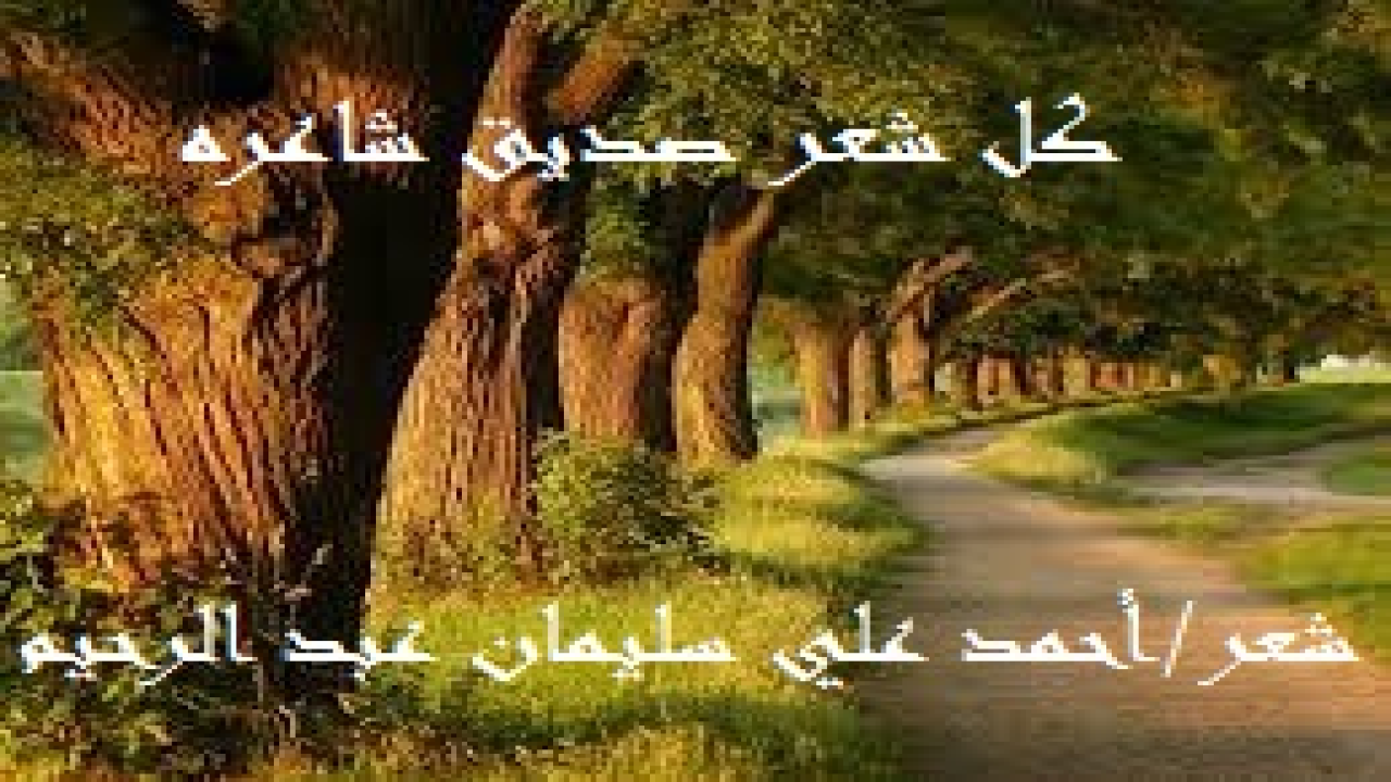 كل شعر صديق شاعره! كل شاعر لا يتخذ من شعره صديقاً له يبثه شكواه ونجواه بعد الله تعالى ، فهو شاعر غير صادق مع شعره! وهذه المجموعة الشعرية أبين فيها قيمة الشعر في حياتي بعد إيماني بالله ورسوله!