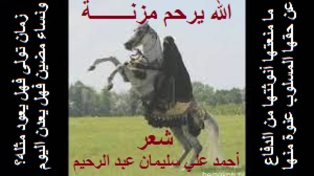 الله يرحم مزنـــــــة! (إنه مثل عربيٌ أصيلٌ ، وله قصة عجيبة وغريبة! وتعد هذه القصة واحدة من الحكايات الشعبية التي تخلد دور المرأة المسلمة العربية عبر الزمن ، وتبين حقيقة ما عليه المرأة المسلمة العربية من دهاء وشمم ، وتوضح مدى دهائها وقدرتها على القيام بما يقوم به الرجال من فنون القتال والحرب ، وهي قصة غريبة فعلًا لامرأة مسلمةٍ حرة أبية لم تقف مكتوفة الأيدي أمام سرقة اللصوص لحيها. بل احتالت حقاً بدهائها! وباقي القصة يدركه القراء الأعزاء من خلال قراءة النص نثراً وشعراً!)