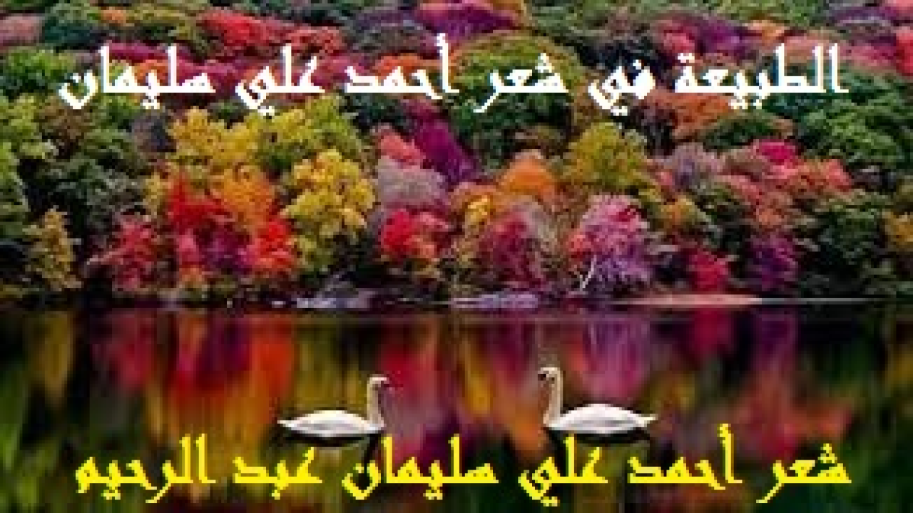 الطبيعة في شعر أحمد علي سليمان! (أحد أحبابي زار الصين في أول رحلة عمل تجارية له هناك. وشاهد الخضرة والزهور والورود في كل مكان هناك تسبّح الله تعالى وتوحّده. لكنها طبيعة حزينة ، لأن أغلب مِن حولها ومن يعيش في ظلها ومن يتمتع بها يشركون بالله – تعالى -. ونقل لي صاحبي صورة حية لجاهلية القرن العشرين. فكتبت له وللإسلام هذه القصيدة عن الطبيعة الحزينة معزياً. يقول تعالى: ﴿سَبَّحَ لِلَّهِ مَا فِي السَّمَاوَاتِ وَالْأَرْضِ وَهُوَ الْعَزِيزُ الْحَكِيمُ * لَهُ مُلْكُ السَّمَاوَاتِ وَالْأَرْضِ يُحْيِي وَيُمِيتُ وَهُوَ عَلَى كُلِّ شَيْءٍ قَدِيرٌ * هُوَ الْأَوَّلُ وَالْآخِرُ وَالظَّاهِرُ وَالْبَاطِنُ وَهُوَ بِكُلِّ شَيْءٍ عَلِيمٌ﴾ ، ويقول: ﴿هذَا خَلْقُ اللَّهِ فَأَرُونِي مَاذَا خَلَقَ الَّذِينَ مِنْ دُونِهِ بَلِ الظَّالِمُونَ فِي ضَلَالٍ مُبِينٍ﴾ ، ويقول: ﴿وهوَ الَّذِي فِي السَّمَاءِ إِلَهٌ وَفِي الْأَرْضِ إِلَهٌ وَهُوَ الْحَكِيمُ الْعَلِيمُ * وَتَبَارَكَ الَّذِي لَهُ مُلْكُ السَّمَاوَاتِ وَالْأَرْضِ وَمَا بَيْنَهُمَا وَعِنْدَهُ عِلْمُ السَّاعَةِ وَإِلَيْهِ تُرْجَعُونَ﴾ ، ويقول:﴿وَمَا قَدَرُوا اللَّه
