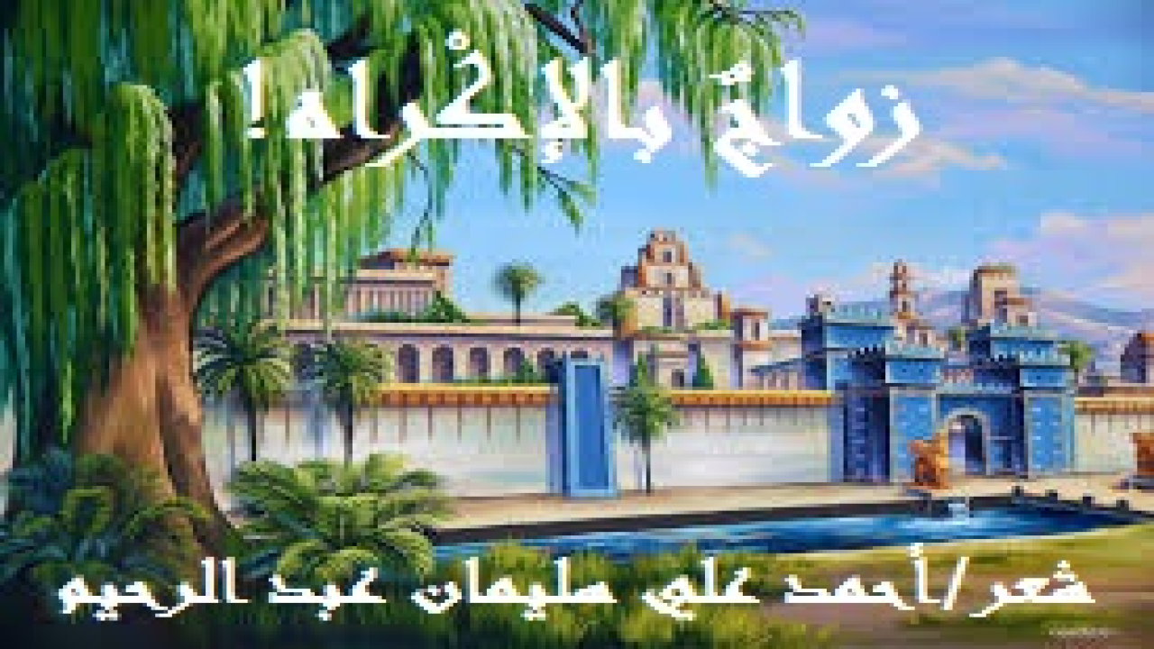 زواجٌ بالإكراه! (صدم ذلك المسرع بسيارته رجلاً آخر ، ومات المصدوم لتوّه. وحكمتْ على الجاني القاتل المحكمة الشرعية بالقصاص إلا أن يعفو أولياء الدم. وحكم عليه شيخ القبيلة بتعويض أسرة القتيل الفقيد في عائلها. وذلك بالزواج من ابنتهم التي هي زوجة القتيل. وذلك لمَا لمس شيخ القبيلة الحكيم من أخلاق ودين الجاني. فاحتار الجاني بين الحُكمين: حكم المحكمة الشرعية الذي يعنى الموت ، وحكم شيخ القبيلة الذي يعنى الحياة والعروس. فقال عاتباً: (ولكنني لا أريد ابنتكم ولا حاجة لي في الزواج منها أو من غيرها فعندي زوجتي وأولادي). وعندئذٍ أفصحَ شيخ القبيلة وحكيمها قائلاً: (إذا كنت لا تريد الزواج من ابنتنا فنحن نريد رقبتك). وبعد مشاورات ومناورات ، وأخذ ورد ، قبلَ بالزواج منها ، وتم العقد بعد انقضاء عدتها ، وعفا أولياء الدم وصفحوا عن هذا الجاني الذي أصبح زوج ابنتهم. وأبدل الله على الأسرة المنكوبة من خوفٍ أمناً ومن ضيق فرجاً ، ومن حزن فرحاً ، وكان هذا الحدث العجيب خبراً طار في الآفاق ، من قبيلةٍ الى قبيلة ، ومن صُقع إلى صقع ، وذلك إلى أن حُكي لي ، فانفعلتُ به جداً ، وتخيلتُ شيخ القبيلة والجاني في حوار ، ليس فيه أنص