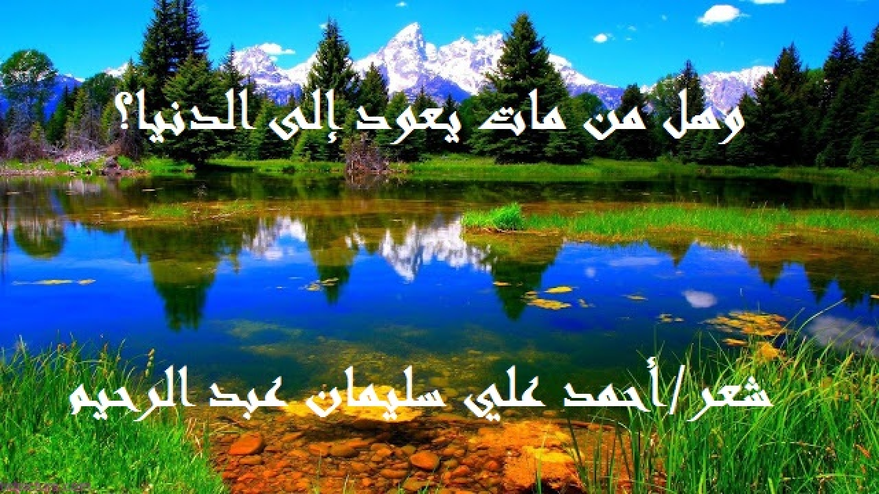 وهل من مات يعود إلى الدنيا؟! (تأيّمتْ هذه الأم الفاضلة لتربي وليدها الذي توفي عنه أبوه وهو لا يزال طفلاً رضيعاً في شهره الرابع من العمر. وجاءها الخطاب من كل صوب وحدب ، حيث كانت جميلة وضيئة وذات أحساب وأنساب كما أنها ورثت عن زوجها عقاراتٍ وأموالاً! وفوق ذلك كله كانت صوّامة قوّامة تصلي خمسها وتزيد ، وتصوم شهرها وتزيد ، وتحصن فرجها وتصدق قولها وتحسن إلى جيرانها! فأبت إلا الأيومة لئلا تدخِل على رضيعها زوج أم يسومه سوء العذاب ويعكّر عليها صفو حياتها! وقالت: أعيش لولدي وأراه دنياي وآخرتي كما أراه ماضي حياتي وحاضره ومستقبله! وكبر الطفل ويفع ، وأكمل تعليمه الأساسي ، فالمتوسط ، فالجامعة. وفي الجامعة تعلق قلبه بفتاة وصارح أمه بذلك ، فبذلت ما بذلت لتلبي له ما يريد حيث أرادها للزواج. وتزوّج أميرُنا الهمام من مولاتنا صاحبة الهمّة! وقررتِ الأم أن يعيشا معها في قصرها المنيف! فوافقا على الفور. وبدأت الأيام تسفر عن المعادن! وبدأ الذي في القِدر يخرج عبر المغرفة كما تقول العرب! وإذا نحن أمام زوجة ابنٍ طمّاعة تريد أن تستأثر بالمال والقصر والعقار والثروة! وما العائقُ أمامها؟ إنها الأم! فقد ضمنت الابن زوجاً