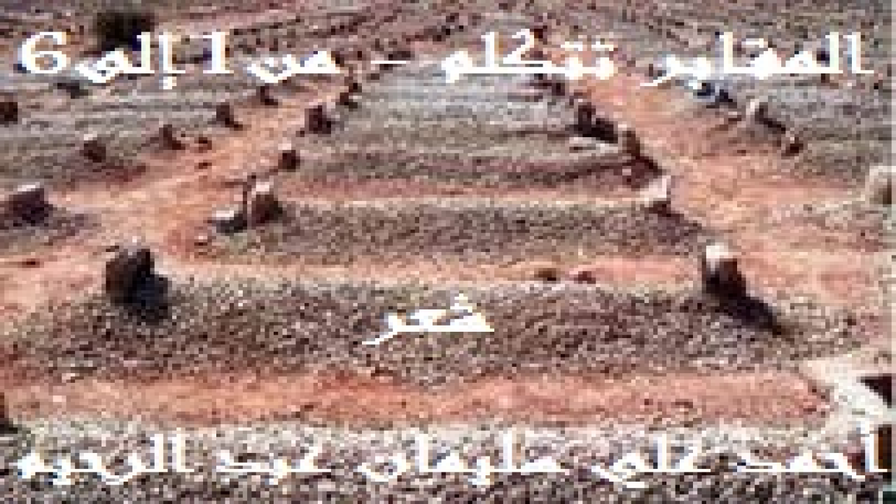المقابر تتكلم - من 1 إلى 6! (إن تناقض أحوال الناس في الدنيا أمرٌ اعتدناه وألفناه! وهذه عادة ممقوتة استشرتْ في الآونة الأخيرة بشدة! وإن كانت في الأصل غابرة حاضرة ، فلقد كبر عليها الصغير وشاب عليها الكبير! ألا وهي أن أكثر الناس يذمّون فلاناً بغير حق طبعاً ، بل ويقاطعونه ويكرهونه وهو حي يُرزق! فيهضمون جميع حقوقه معنوية ومادية. ويجهرون بالسوء في حقه ، ويعادونه معاداة شديدة. فإذا مات خلعوا عليها ألقاب الصحابة والتابعين وتابعي التابعين! وأحبوه حباً جماً ، وعفوا عنه وسامحوه ، وراحوا يذكرون له مناقب إن بحق أو بغير حق ، ومضوا يبالغون في وصفه بصفات ربما ليست لأبي بكر وعمر ، وكأنه شخصية مختلفة عن التي كانت بينهم مهدرة الحقوق مهضومة الواجبات! ولولا أن النبي – صلى الله عليه وسلم أخبرنا أن ابن آدم إذا مات انقطع عمله لقلت بأن هذا الميت كان قد عمل كل هذه الصالحات بعد وفاته! حتى إذا جيء بالطعام في مجلس عزائه راحوا يتندرون وينكتون ويطلبون ما لذ وطاب من اللحم والمرق والليمون والأرز والمعكرونة والخبز! ومن بين هؤلاء ربما أصدقاء له كان ينبغي أن تنخلع قلوبهم حُزناً على صديقهم ، ولو من الناحية الشكلية والصوري
