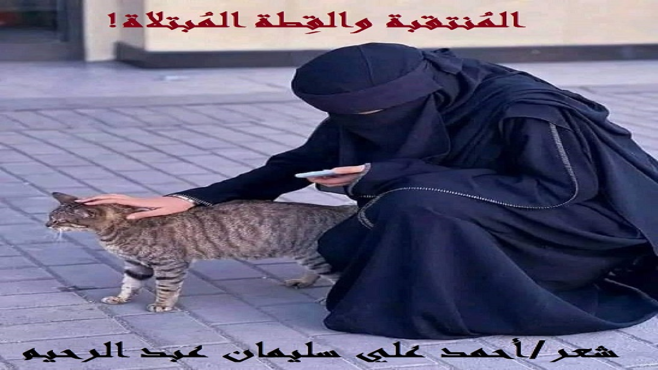 (شعورٌ نبيلٌ جداً أن نكون رُحماء بالحيوانات ، خاصة الأليفة التي لا يكون لنا منها الضرر الظاهر! ومنتقبة قصيدتنا بسبب حسها المرهف والرحمة التي أودعها الله تعالى في قلبها ، لم تقبل أن ترى تعذيب قطةٍ مبتلاةٍ بائسة ، على يد صِبية لا يدركون! واستحق ذلك مني قصيدة أشكرها على ذلك الشعور النبيل هذا!)