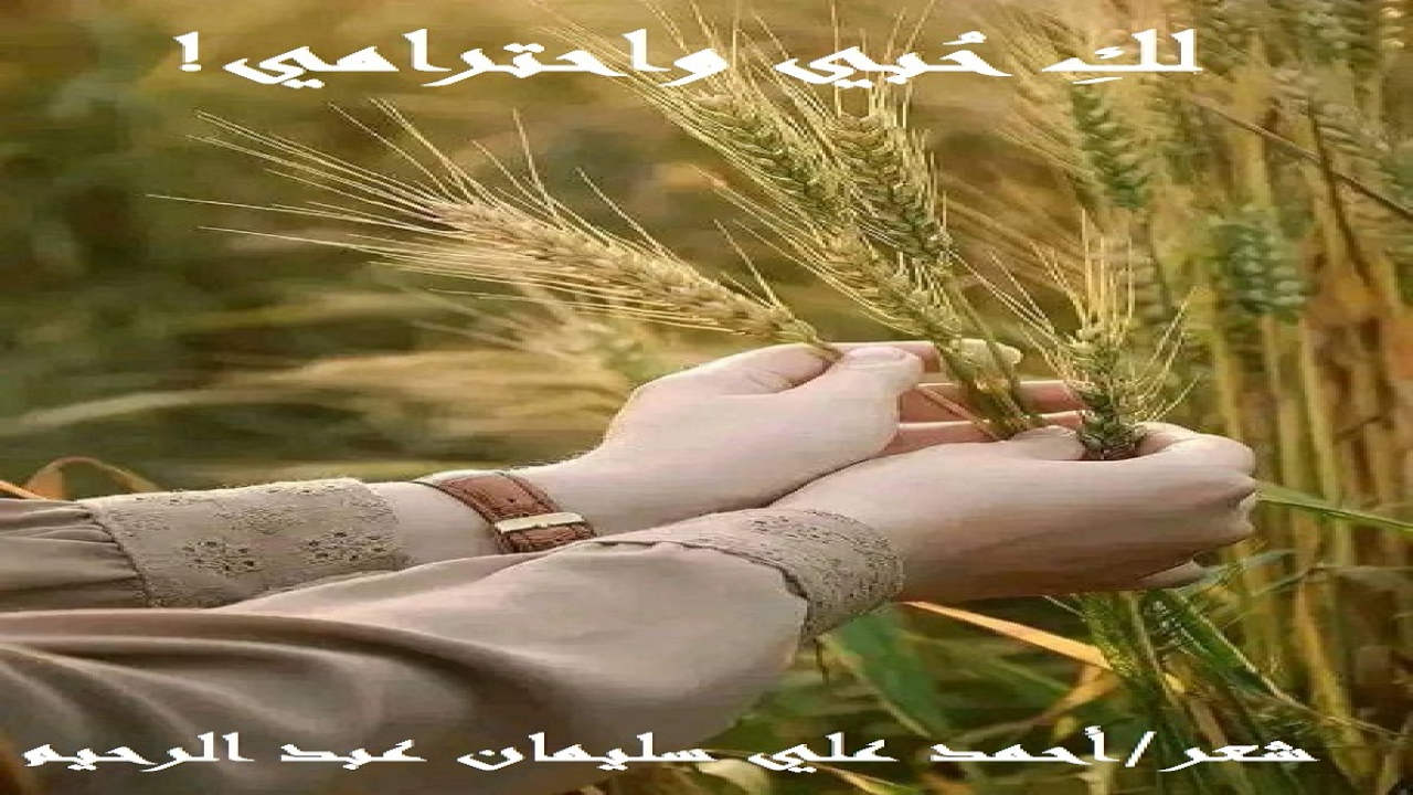 (تزوج ذلك الطيّبُ من ابنة عمه ابنة البادية ، ظناً منه أنه يجمع بهذه الزيجة بين مزايا ثلاثٍ ما جُمعتْ لأحد قبله ، ولن تُجمع لأحدٍ بعده إلا أن يشاء الله تعالى: الأولى حبه لها ، والثانية كونها ابنة عمه فهو أولى بها وهي أولى به ، والثالثة أنها ابنة بادية ، ولكن للأسف الشديد خاب ظنه خيبة لا حدود لها! لماذا؟ والجواب لأن عروسه البدوية ابنة عمه التي أحبها تمردتْ على نفسها وعليه وعلى البادية وعلى القرابة وعلى الحب! فتوسّم خيراً في عم له يسكن الحاضرة أن يزوّجه ابنته الحضرية! فعرض الأبُ على ابنته التي وافقتْ لعشقها حياة البادية ، وإن لم تعشق العريس المتقدمَ لها! وتم العرس ، وتحولتْ حياة البدوي الطيب الموفق بطل قصيدتنا إلى نعيم مقيم!)