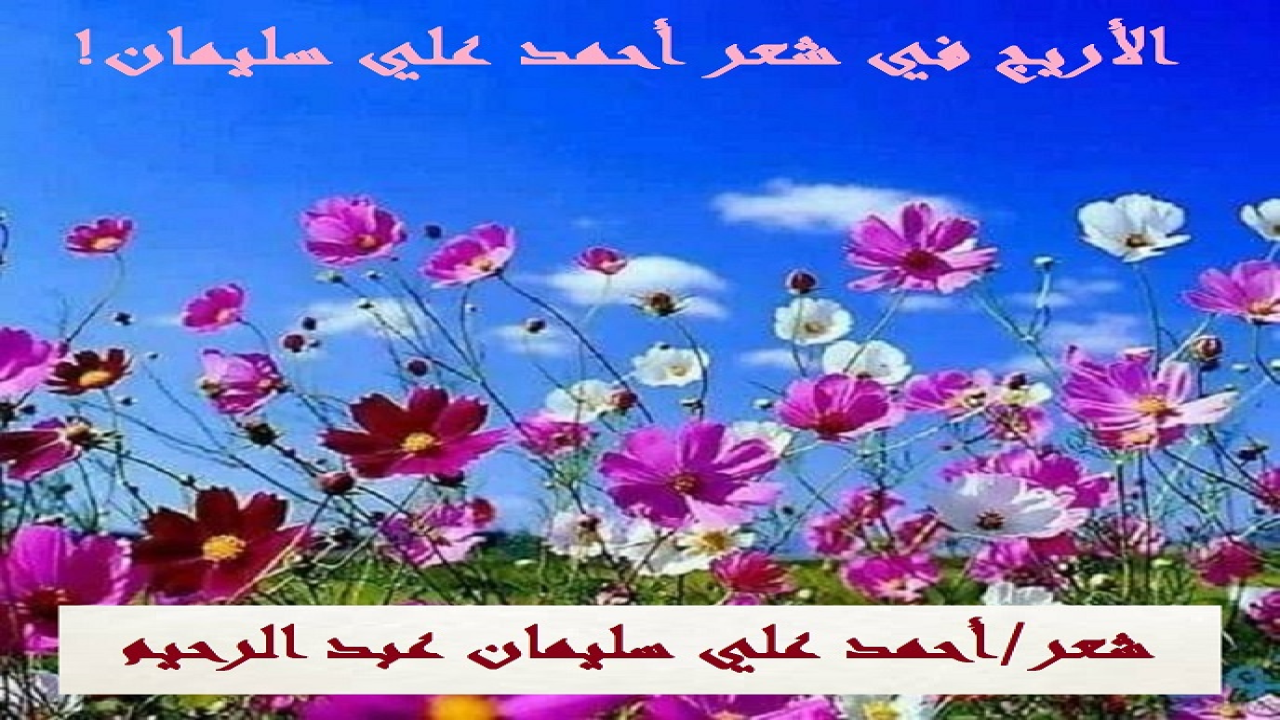 (الأريج ليس حِكراً على الزهور والورود بمختلف أنواعها! إنما هناك أريج لبعض التصرفات الجميلة والسلوكيات الطيبة! ولكن لا يشم هذا النوع من الأريج كل إنسان! إنما هو حكرٌ على الطيبين!)