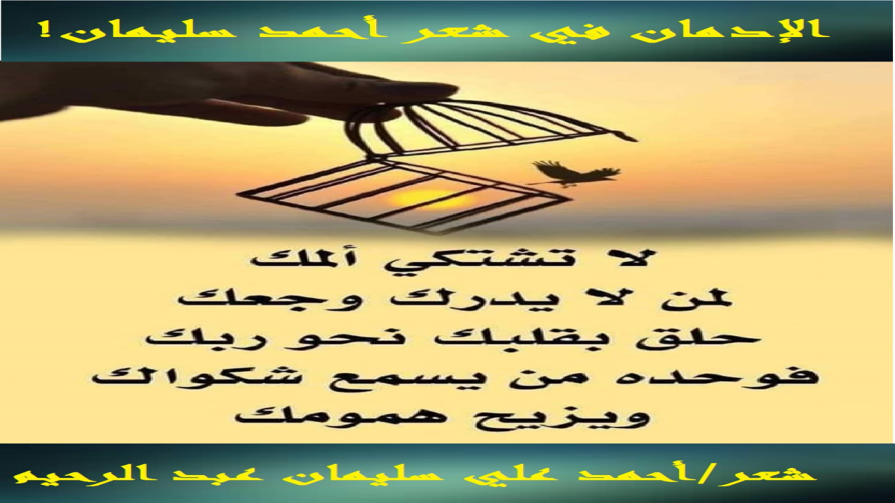 (صدق واللهِ شاعرُنا الكبير الفذ صالحُ ابنُ عبد القدوس في زينبيته - رحمه الله تعالى - إذ قال: (هب الشبيبة تُبدِي عُذر صاحبها *** ما بال أشيب يستهويه شيطانُ؟!) إن أمرَ أشيبِ قصيدتِنا لعجيبٌ وغريب. حيث تعرَّف على حِفنة من الصبيان في عُمْر أحفاده! كانوا يَتعاطون السمومَ البيضاء ، فبدلاً من أن ينصحهم ويَعظهم ، جَرُّوه إلى الإدمان والتعاطي ، للحدِّ الذي تفوقَ فيه عليهم! وانتهى به هذا المسار المنحرف إلى أن خسِرَ بيته وسيارته وأسرته وأولاده ووظيفته! ولفظتْه الحياة وزينَ له سوء عمله فرآه حسناً! وظل في صراع مع المرض ، وفي لحظاته الأخيرة تُلقنه ابنته الشهادة فكان يُردِّد: (أعطني النايَ وغني *** فالغنا سِرُّ الوجود). وما زال يُردِّدها حتى فاضت روحُه عليها. وانتهتْ رحلة الأشيب مع السموم البيضاء بالدَّمار والخسران المبين! نسألُ الله العفو والعافية والسلامة!) ولا يزال الإدمان بأصحابه حتى يوردهم المهالك في الدنيا والآخرة!)