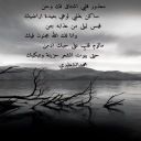 بيوت الشعر