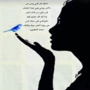 قيس ليلى