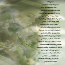 ودي بك