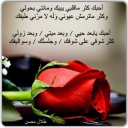 أحبك يابعد حيي وبعد ميتي وبعد زولي !