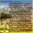 ياذا الخيال يا سيدي