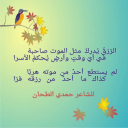 حكم