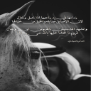 الشيخ حمد آل ثاني