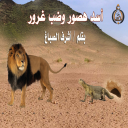 أَسَدٌ هَصُور وَضَبٌّ غَرُور ــ أشرف الصباغ