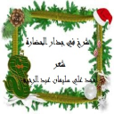 شرخ في جدار الحضارة