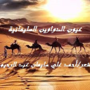 عيون الدواوين السليمانية