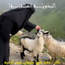البدوية المنتقبة!