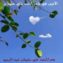 الأنين في شعر أحمد علي سليمان!