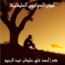 عيــــون الدواوين السليمانية!
