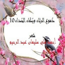 دموع الرثاء وبكاء الحداء 10