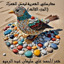 معارضاتي لبعض للشعراء 3