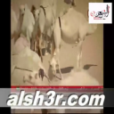 ابل مبارك العجمي