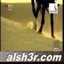عبدالله الخالدي-وجه الشبه