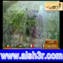 مبارك المنصوري-لانويت