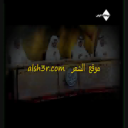 لم تتم اجازتهم