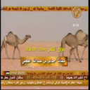 ناصر عبيد العجمي_شله