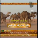 عادل التميمي_عبدالرحمن التميمي
