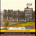 منقية سعود نايف بن حثلين