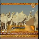 منقية زايد هجرس