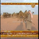 منقية ناصر هديبان الشكرة