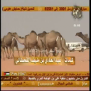 منقية منيف عبدالهادي الخنفري