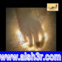 العقيل-على العهد