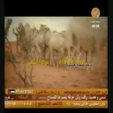خميس بن جمعان العتيبي_شاش العتيبي