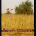 على بن بلال اليامي_تهب الرياح